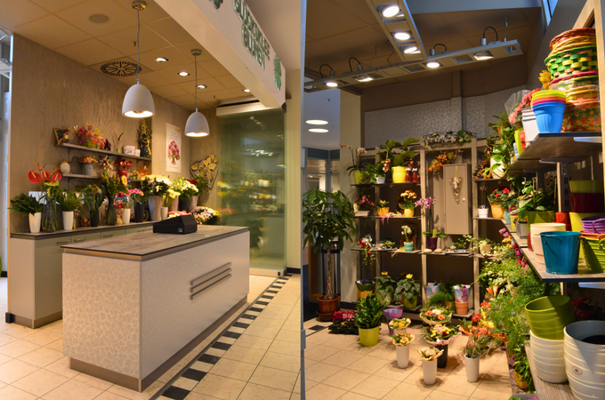 Blumenladen Tresen und Regale